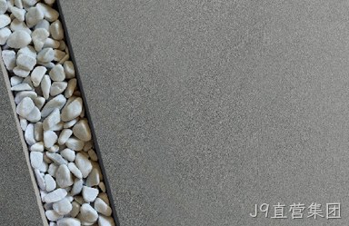 济南瑞加漆业有限公司